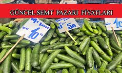 Kayseri'de pazar tezgahlarının en ucuz ürünü salatalık oldu