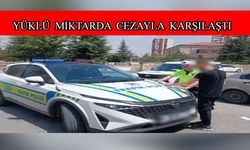Trafiği tehlikeye attı
