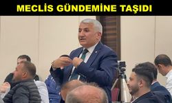 ‘OYMAAĞAÇ SANAYİ SİTESİ’NDE ÇÖP VE ASFALT SORUNU VAR’