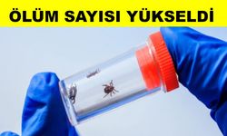 Kırmızı alarm kene vakası artıyor