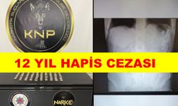 Midesinde 100 kapsül uyuşturucu ile yakalanan şahsa