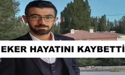 Kayseri’de kene ısırması can aldı