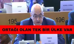 Cıngı, “Avrupa’nın güvenliği, barışı ve istikrarı Türkiye olmadan düşünülemez”