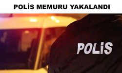 FETÖ/PDY  örgütüne üye olmak suçundan aranıyordu