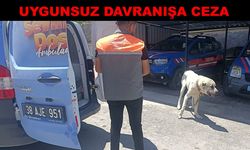 Kayseri’de köpeği bağlayarak aracını çektirdi