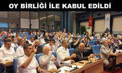 Mimar Sinan Evi Bakanlığa tahsis ediliyor