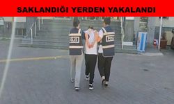 Fuhşa aracılıktan arananıyordu