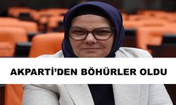 Böhürler, Terörsüz Türkiye Komisyonuna seçildi