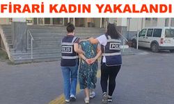 Hırsızlık suçundan arananıyordu