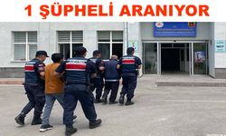 Jandarmadan DEAŞ operasyonu 2 kişi yakalandı