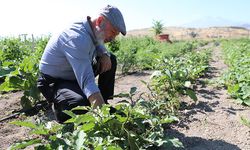 Çolakbayrakdar, “Şehrin kalbinde tarımla, ülkemizin tarımsal geleceğini şekillendiriyoruz”