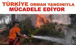 İzmir yangınında son durum