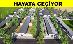 Melikgazi Belediyesi Hayvan Bakım Evi Projesi