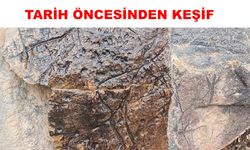 Tomarzalı Gürbüz, tarih öncesi kaya resimleri keşfetti