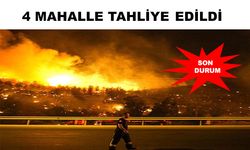 Yangın şimdi de Ankara ve Mersin'de