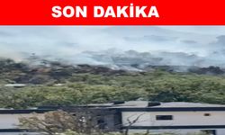 Çay Bağları’nda çıkan yangına müdahale sürüyor