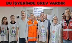 Güven, “Bizler üvey evlat muamelesine reva görülüyoruz”