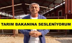 Yücel, “Hayvanların üzerinde 10 kilogram pislik var”