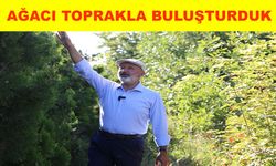 Çolakbayrakdar, “Kişi başına 17,44 metre kare yeşil alan düşüyor”