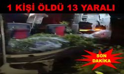 Yolcu otobüsü refüjdeki ağaçlara çarptı