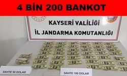 Jandarma, sahte dolarların piyasaya sürülmesini engelledi
