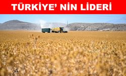 Kayseri, Aspir üretiminde