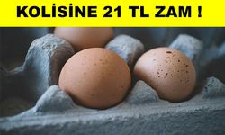 Yumurtaya zam