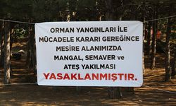 Hisarcık ve Gesi mesire alanlarında mangal, semaver yakmak yasak