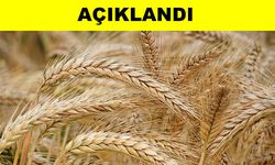 KTB listesine göre et ve tahıl fiyatları
