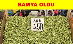 Pazar tezgahlarının en pahalı ürünü bamya oldu