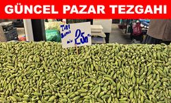 Pazar tezgahlarının en pahalı ürünü bamya oldu