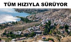 Bayramhacı’da ağaçlandırma çalışmaları