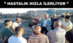 İYİ Partili Yücel; “Üretici, çaresiz, yalnız ne yapacağını bilemez durumda”