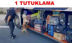 Narkotik operasyonu