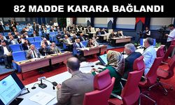 Büyükşehir'de  meclis toplantısı gerçekleştirildi