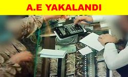 Hırsızlık suçundan arananıyordu