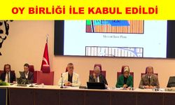 Sultan Sazlığı Kayseri Büyükşehir Belediyesine geçti