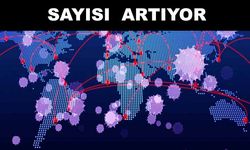 Önlem alınmazsa yeni salgın yolda!