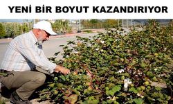 Çolaybayraktar:” Kayseri'ni yeşil dokusu zenginleşiyor ”
