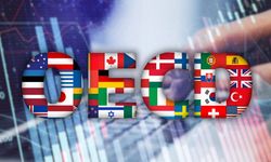OECD ülkeleri arasında en hızlı büyüyen ikinci ülke Türkiye oldu
