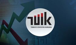 Tarım-ÜFE’de yüzde 46,83 artış