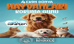 Başkan Büyükkılıç'tan “DÜNYA HAYVANLARI KORUMA GÜNÜ” mesajı