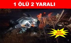 Araç şarampole yuvarlandı