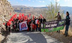 Cumhuriyet Coşkusu Ali Dağın'da yeşerdi