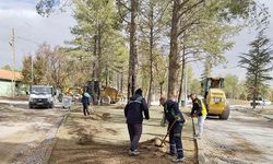 Büyükşehir'in Sarımsaklı Barajı Mesire Alanı'nda Yenileme Çalışmaları Tüm Hızıyla Sürüyor