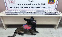 320 paket bandrolsüz sigara ele geçirildi