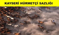 National Geographic’ten günün fotoğrafı