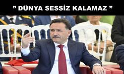 Vali Çiçek: “Bence Sumud filosu amacına ulaşmış ve mazlumların sesi olmuştur”