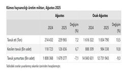 Türkiye'de tavuk eti üretimi yüzde 13,5 arttı