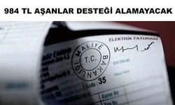 Elektrikte devlet desteğine düzenleme getirildi